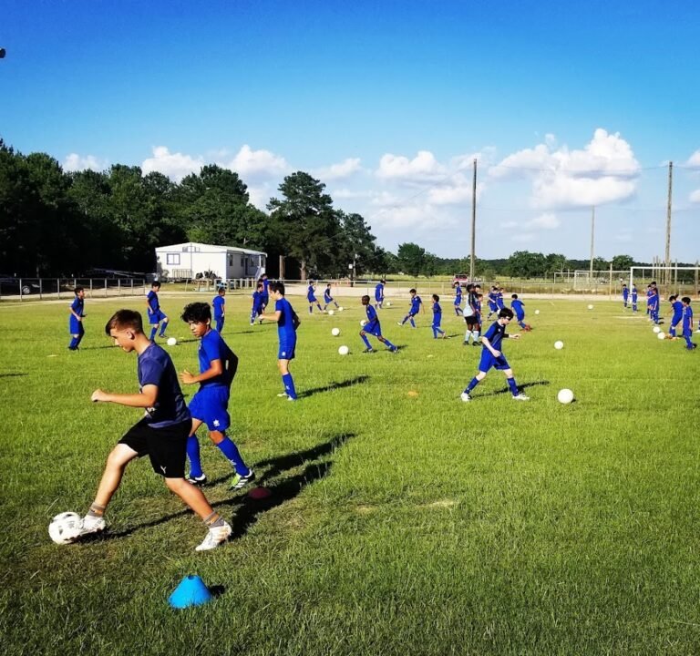 Soccer Field image 2