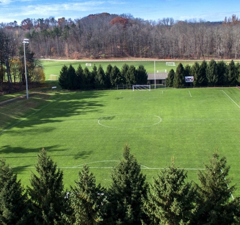 Soccer Field image 2