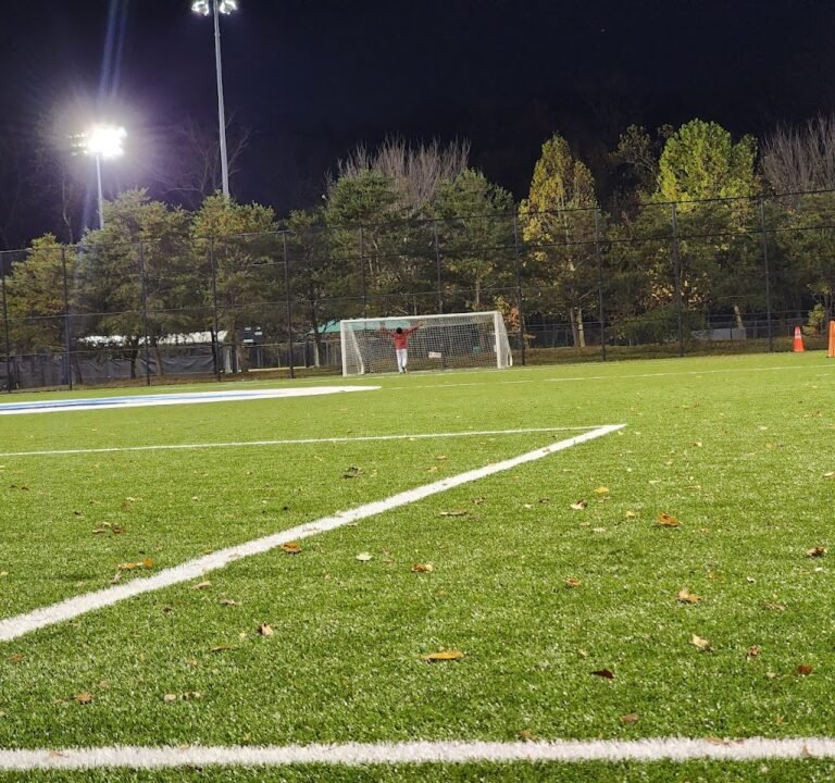 Soccer Field image 2