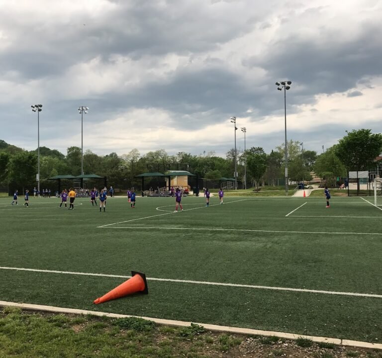 Soccer Field image 3