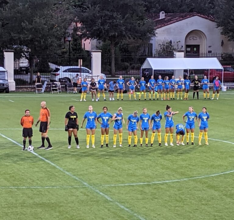 Soccer Field image 3