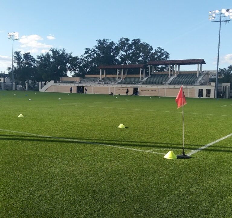 Soccer Field image 2