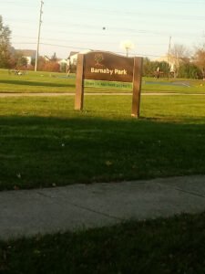 Soccer Field image 1