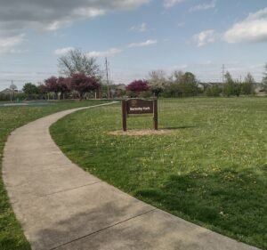 Soccer Field image 2