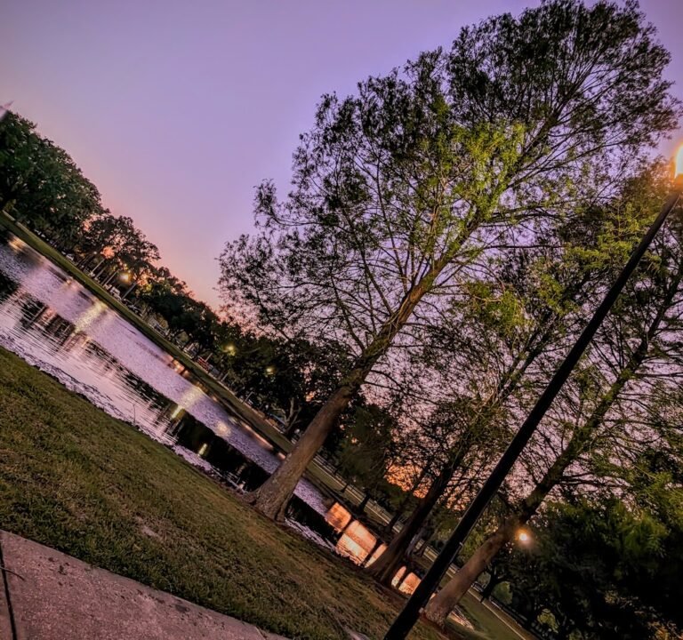 Soccer Field image 2