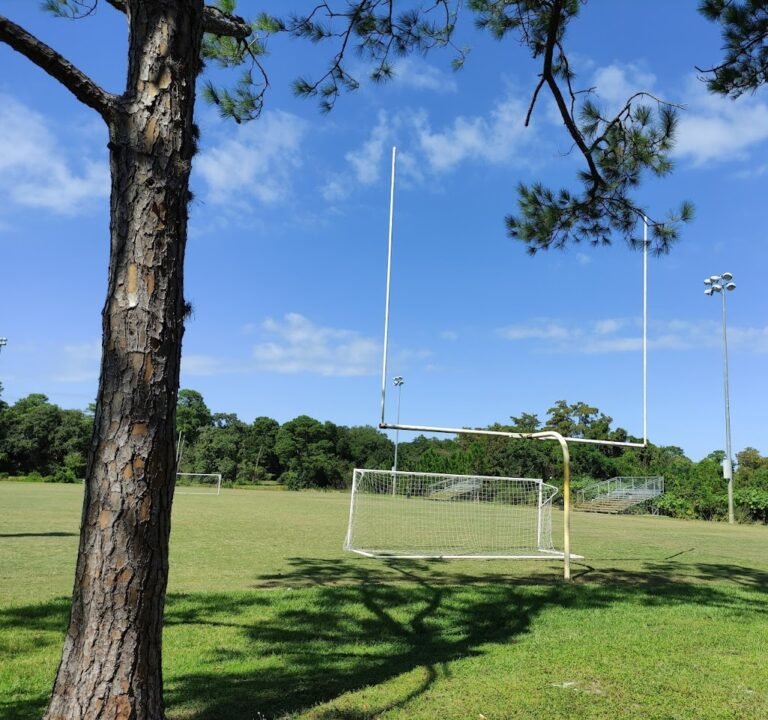 Soccer Field image 3