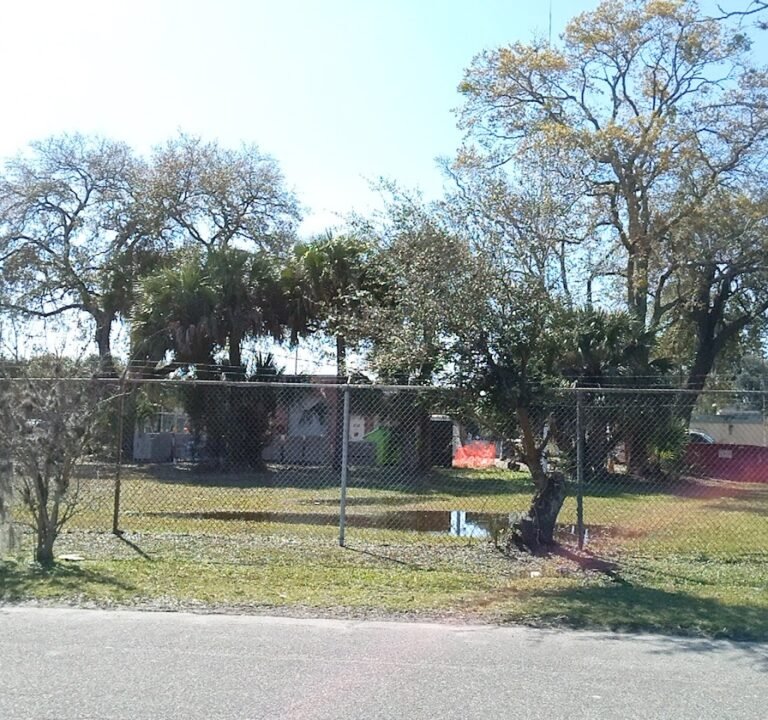 Soccer Field image 2