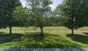 Soccer Field image 1