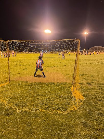 Soccer Field image 1