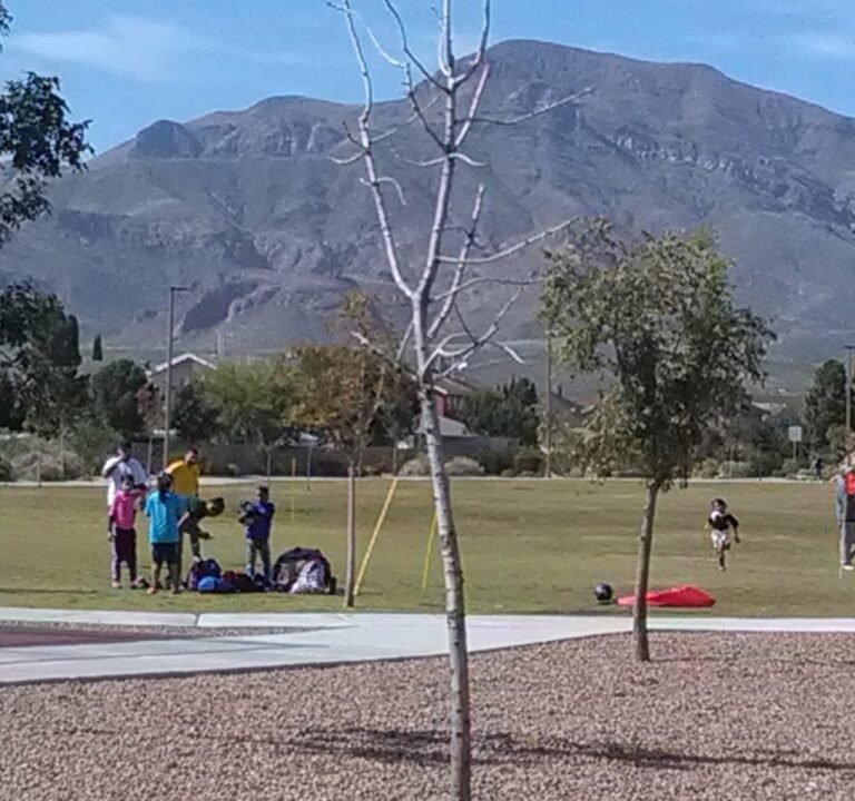 Soccer Field image 2