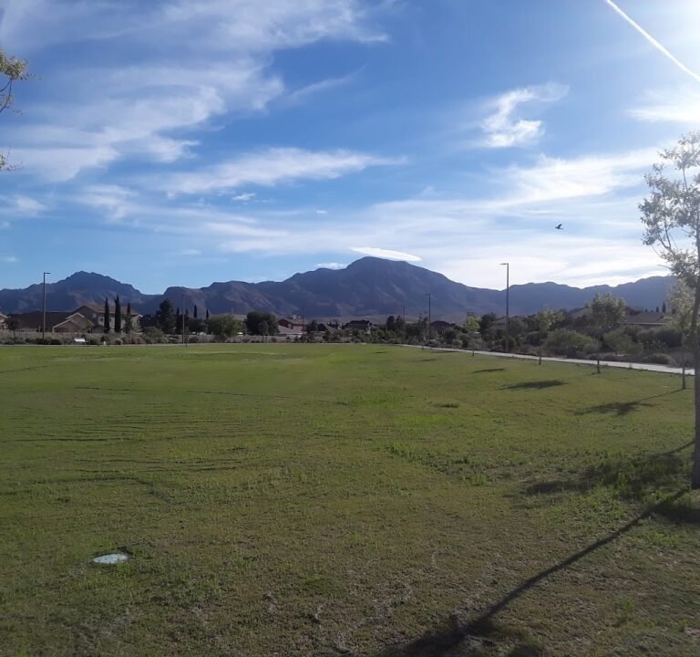 Soccer Field image 3