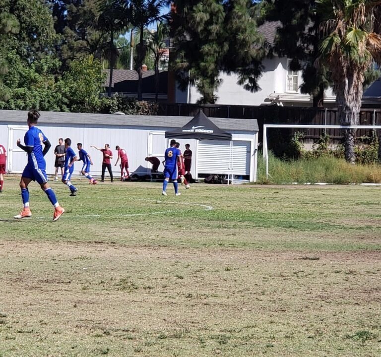 Soccer Field image 2