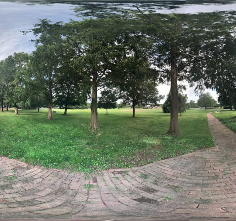 Soccer Field image 3