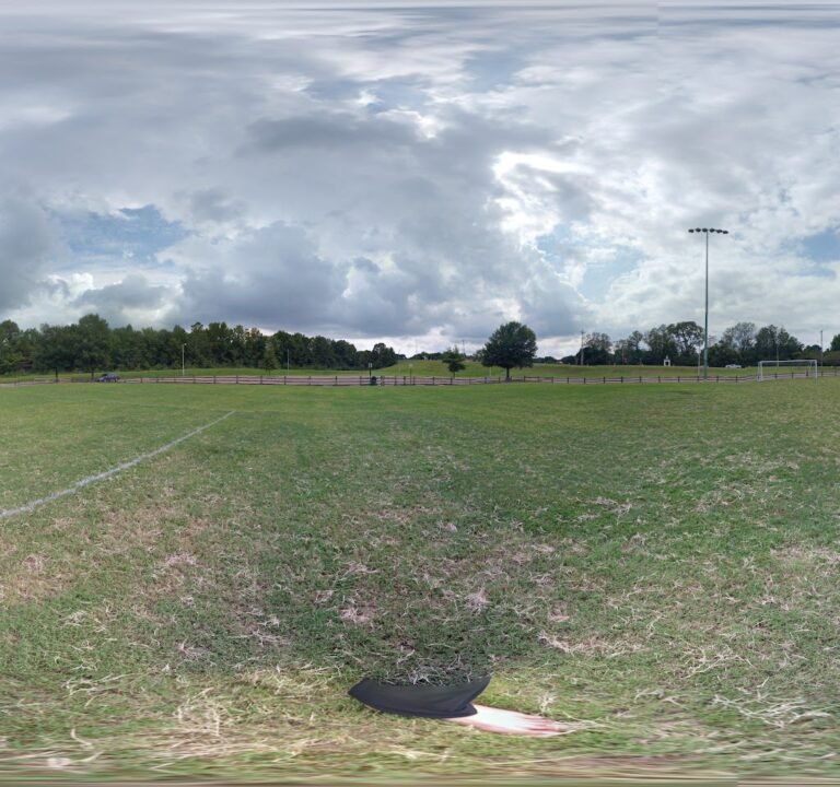 Soccer Field image 3