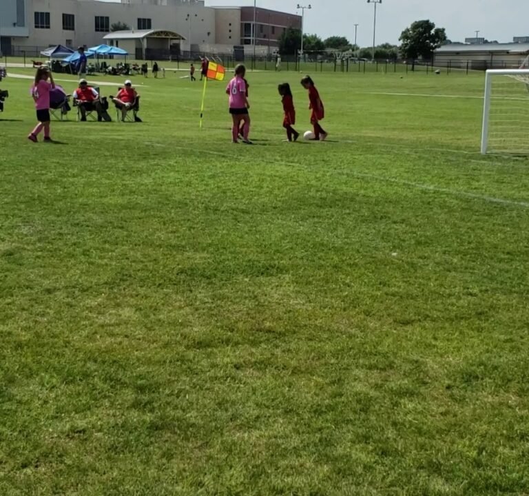 Soccer Field image 2