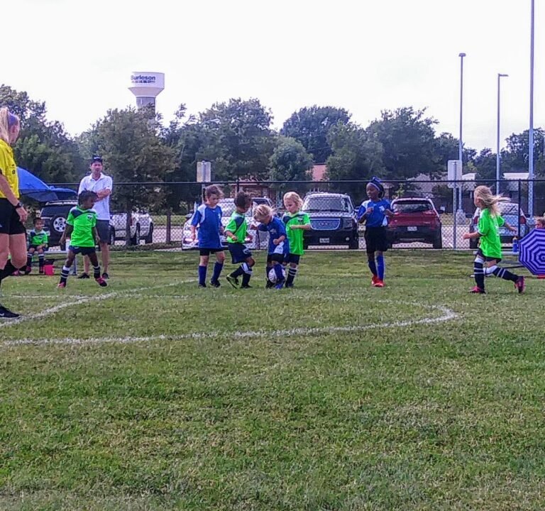 Soccer Field image 3