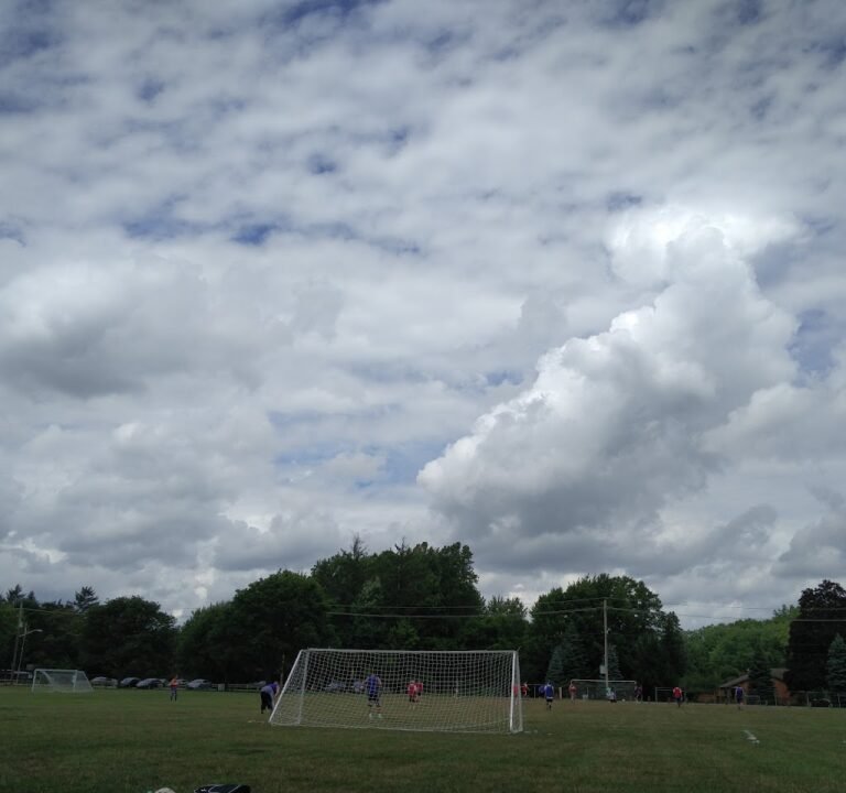 Soccer Field image 2