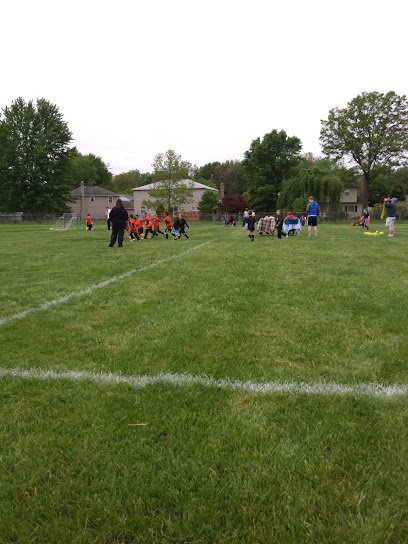 Soccer Field image 1
