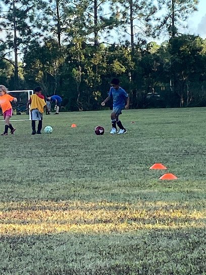 Soccer Field image 1