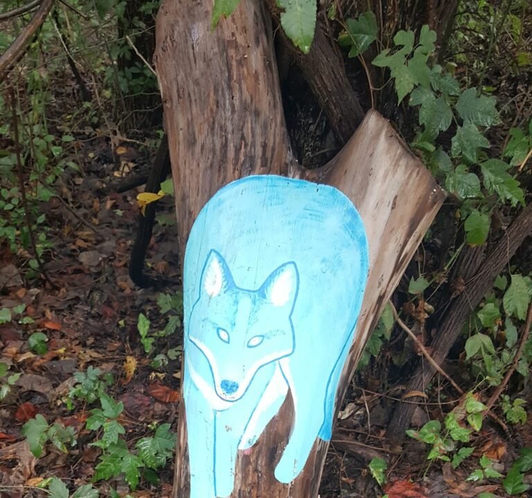 Soccer Field image 2