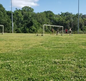 Soccer Field image 3