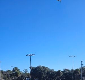 Soccer Field image 2