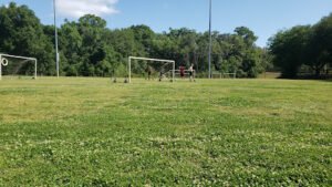 Soccer Field image 1