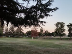 Soccer Field image 1