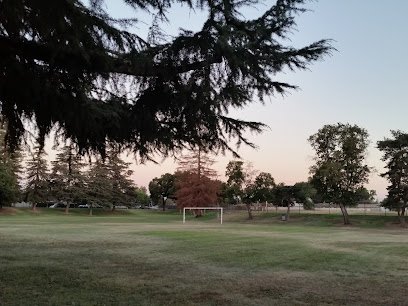 Soccer Field image 1