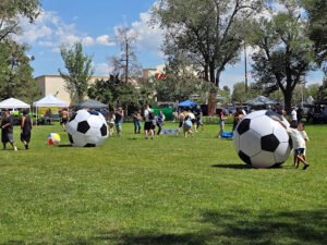 Soccer Field image 1