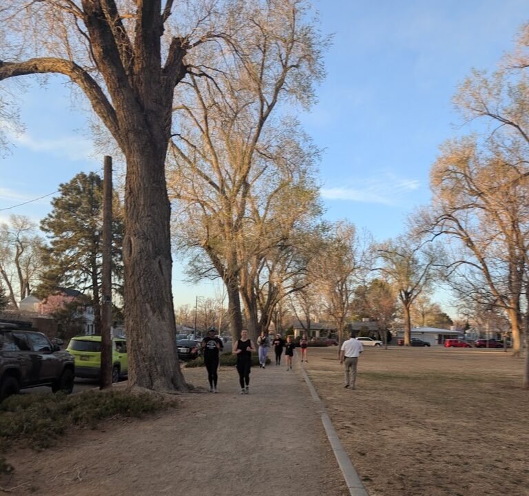 Soccer Field image 3