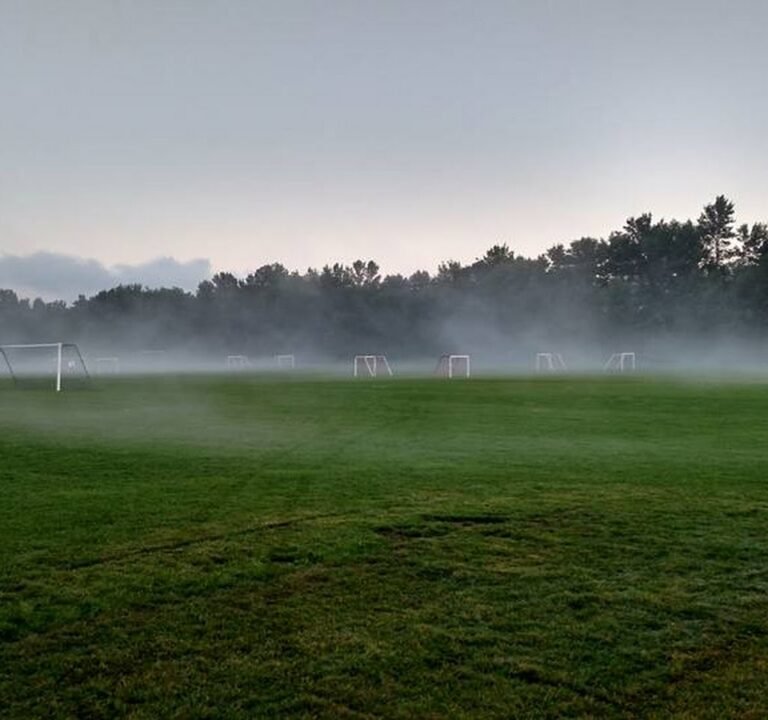 Soccer Field image 2