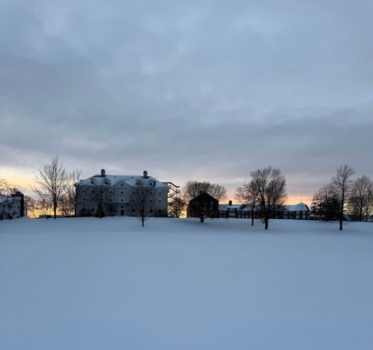 Soccer Field image 2
