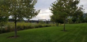 Soccer Field image 1
