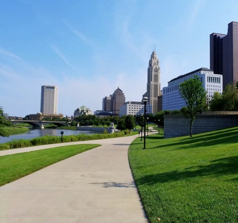 Soccer Field image 2