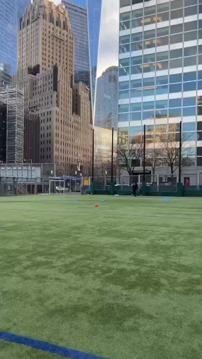 Soccer Field image 1