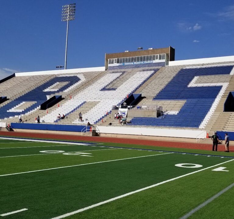 Soccer Field image 3