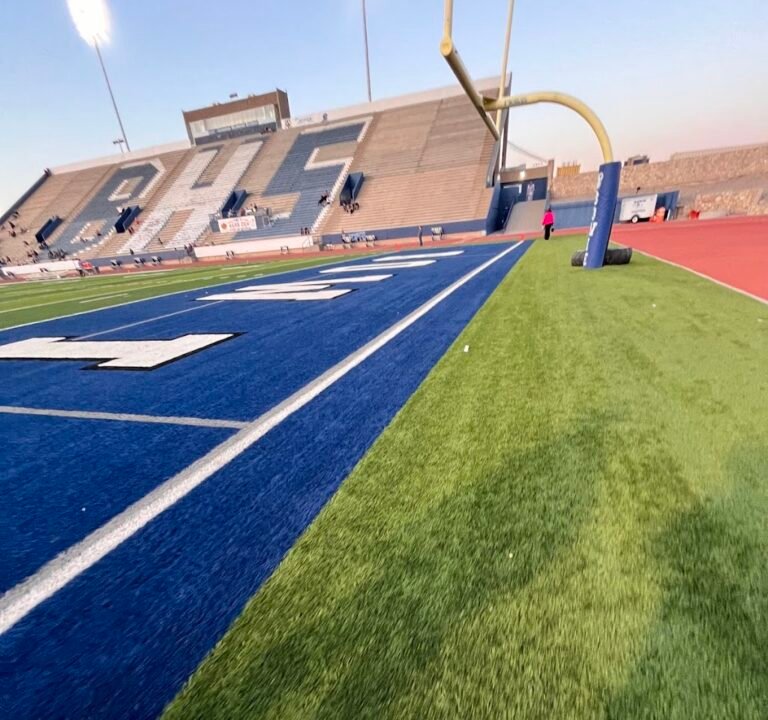 Soccer Field image 2