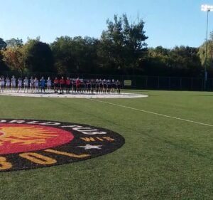 Soccer Field image 2
