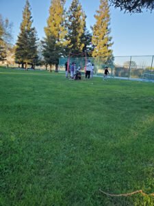 Soccer Field image 1