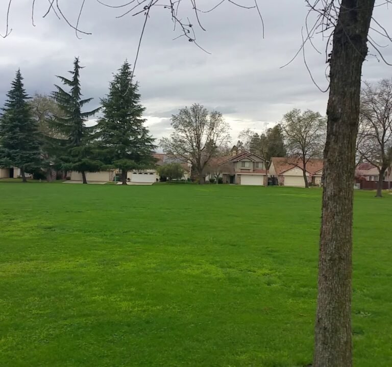 Soccer Field image 4