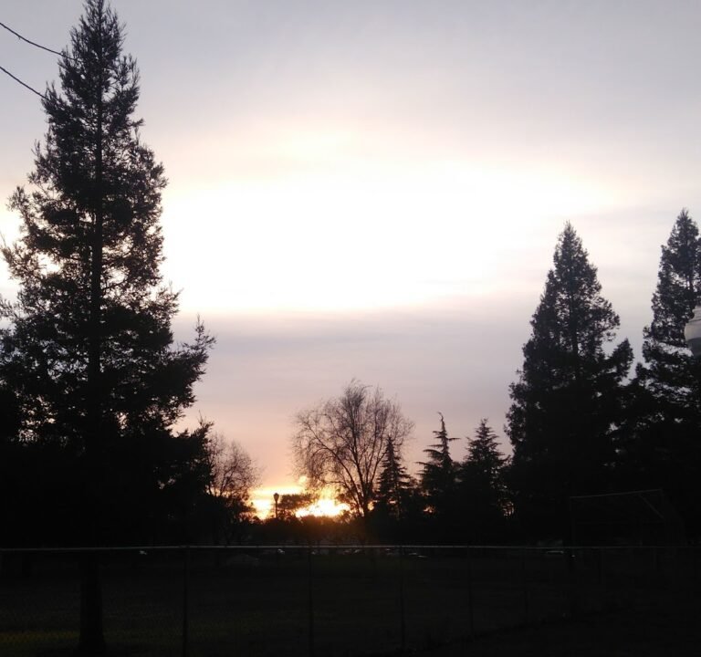 Soccer Field image 3