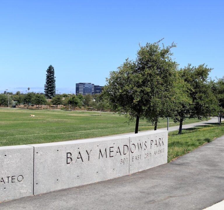 Soccer Field image 2