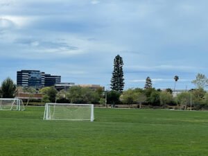 Soccer Field image 1