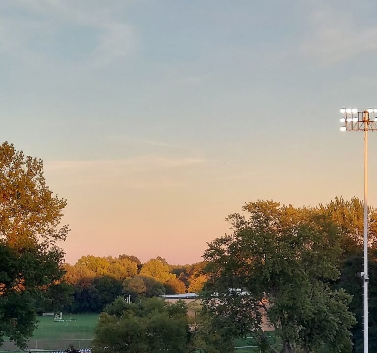 Soccer Field image 2