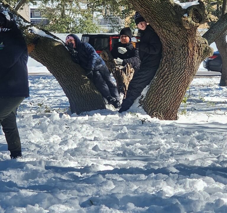 Soccer Field image 3