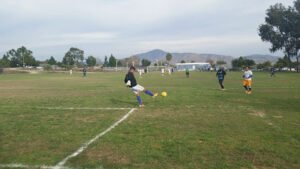 Soccer Field image 1