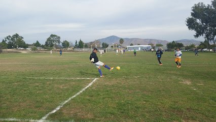 Soccer Field image 1