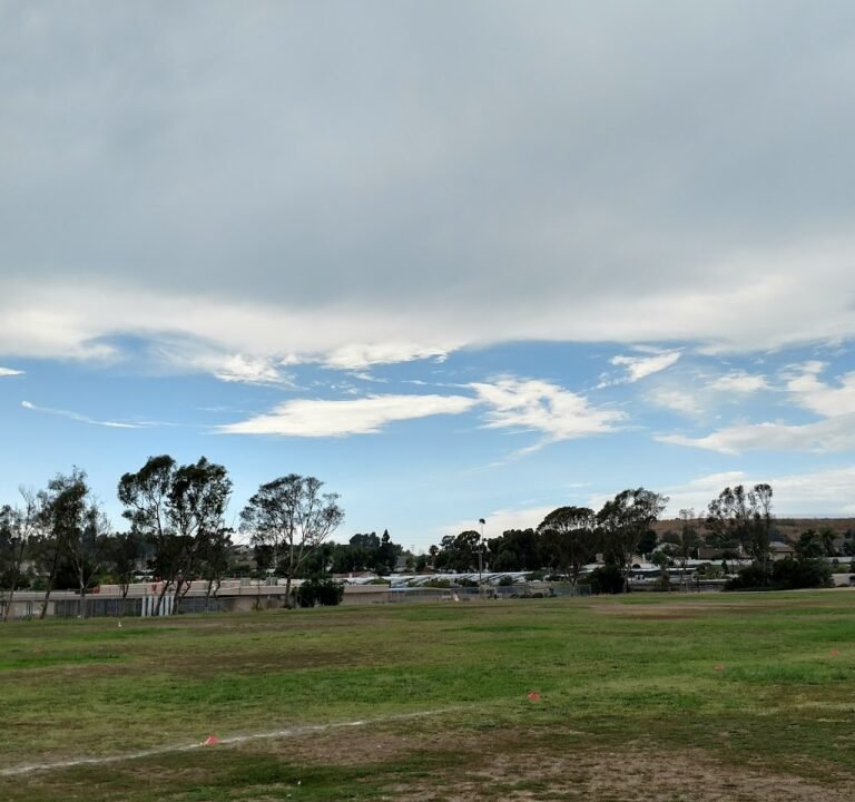 Soccer Field image 2