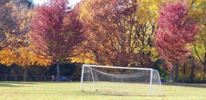 Soccer Field image 1